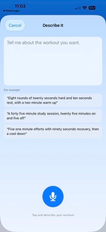 BLAST Describe It screen for creating a timer by voice